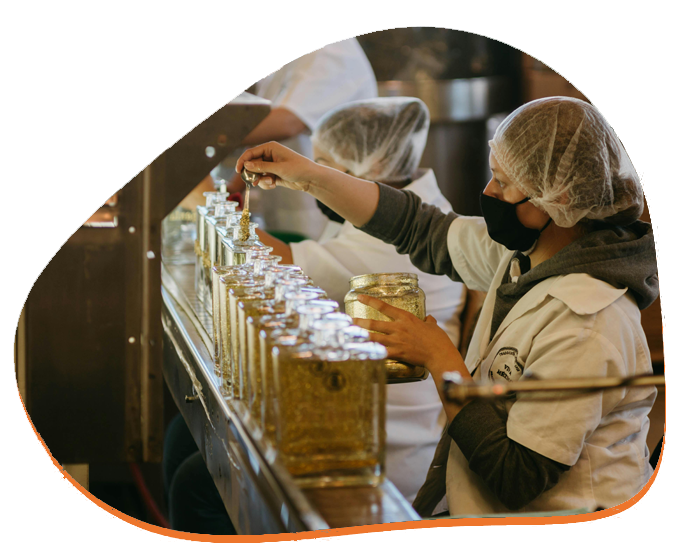 auditoria-y-seguimiemto Auditoria y seguimiento