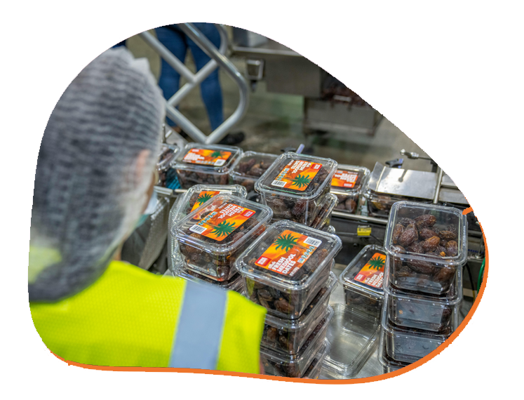 etiquetado Validación de etiquetado