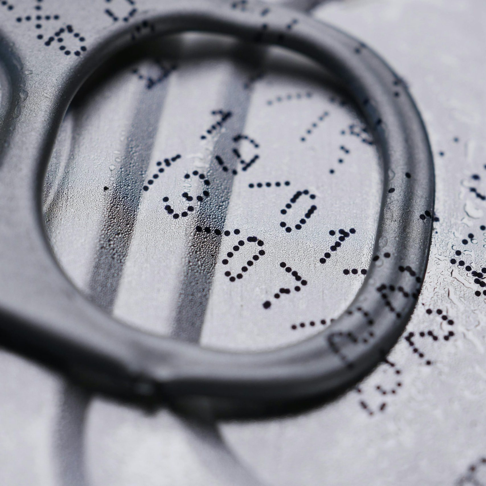 cs alimentaria etiquetado