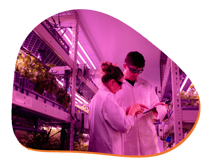 registro-sanitario Registro Sanitario